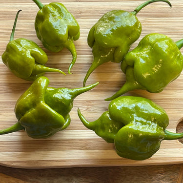 Mustard Carolina Reaper - Seeds - The Pepper Pantry (Formerly Marie Sharp's)